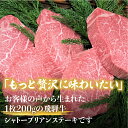 【ふるさと納税】 飛騨牛 5等級 ヒレ肉 シャトーブリアン ステーキ 200g × 12枚 合計2.4kg [Q822] 2