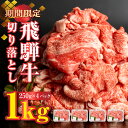 【ふるさと納税】【訳あり】飛騨牛 切り落とし 250g×4 計 1kg 小分け 牛肉 肉 和牛 黒毛和牛 国産 わけあり ワケアリ 冷凍 スライス 20000円 2万円 日時指定 着日指定 [Q1902ss]･･･