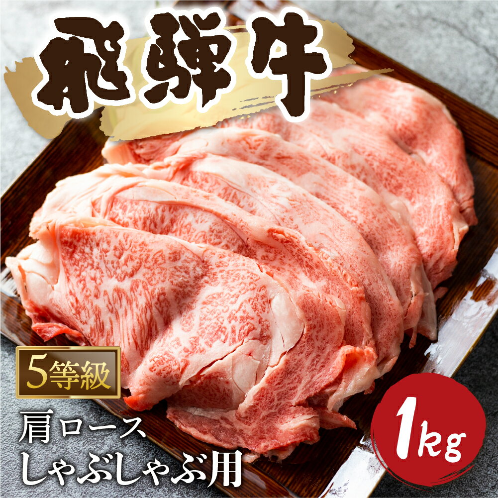 【ふるさと納税】5等級 飛騨牛霜降り しゃぶしゃぶ 500g × 2 計1kg 牛肉 和牛 カタロース すき焼き 飛騨牛 飛騨市 [Q2479_sha_5_a5] 65000円