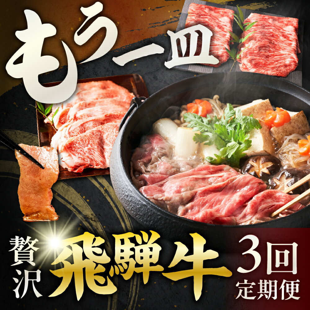 贅沢 飛騨牛 もう一皿 定期便 (3回お届け) | 5等級 A5 a5 ブランド牛 定期便 焼肉 すき焼き しゃぶしゃぶ 切り落とし 赤身 肩ロース カルビ 国産 食べ比べ セット 牛肉 肉 和牛 毎月 焼き肉 すき焼き肉 切り落とし すきやき 冷凍 どやな飛騨市 岐阜県