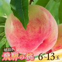 【ふるさと納税】2025年先行予約 令和7年産 桃 6玉 8-9玉 13玉 もも 1.5kg 2.5kg 3kg 秀品 白桃 果物 フルーツ ギフト 贈答 朝採...