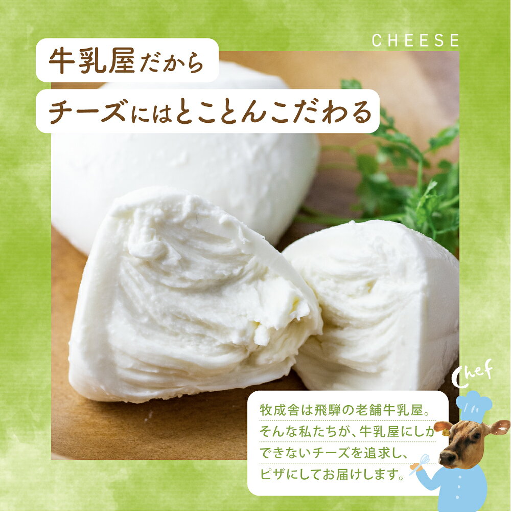 【ふるさと納税】 モッツァレラチーズ チーズセット 冷蔵 選べる 訳あり 訳アリ 小分け 個包装 ピザ サラダ おつまみチーズ 乳製品 お試し 牧成舎 日時指定可 ミルクPJ 定期便 詰め合わせ どやな飛騨市 2回 6回 定期便 6000円 10000円 1万円 f212172-hida-10000862 岐阜県飛騨市 サンプル画像2