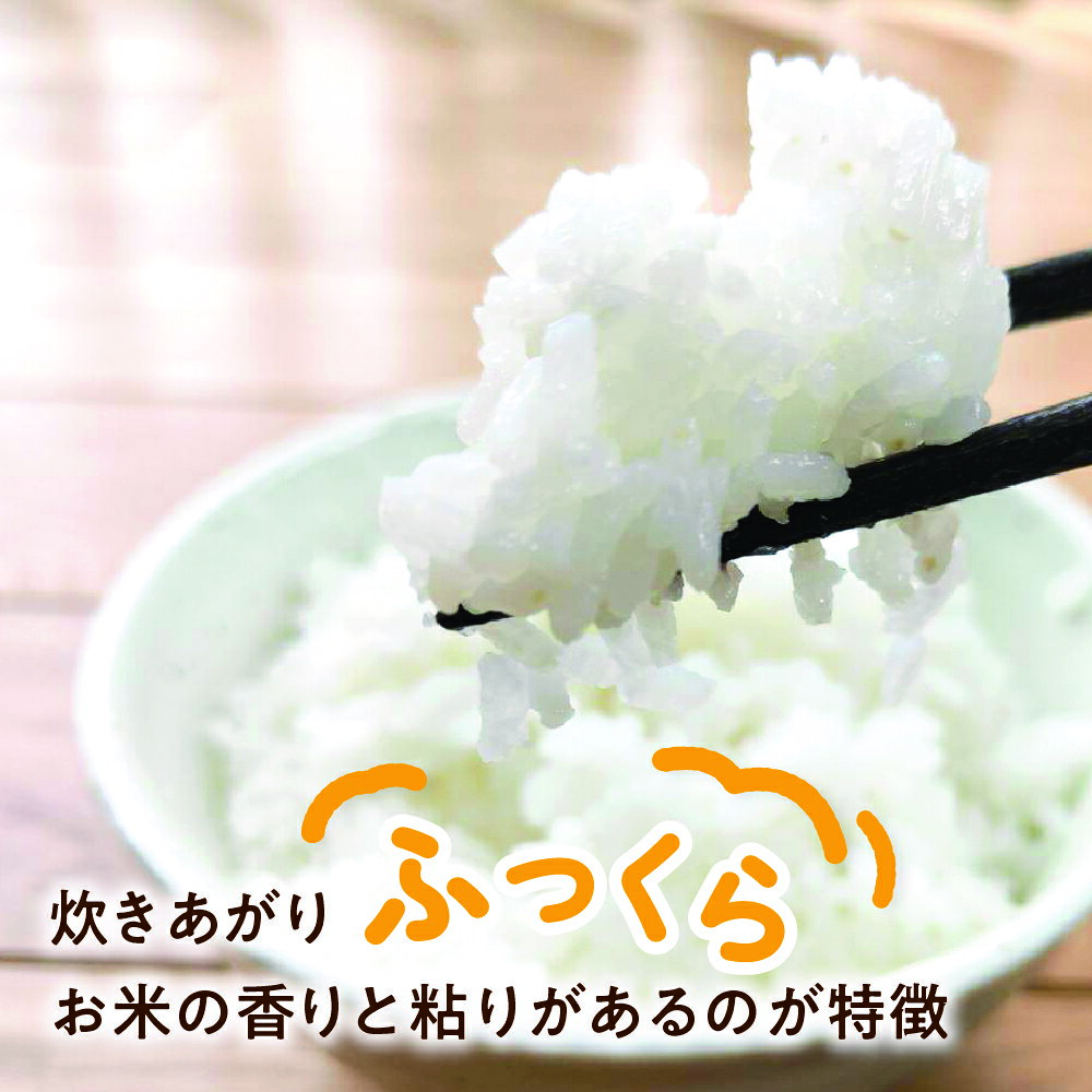 【ふるさと納税】 《先行予約》 令和8年産 選べる / 内容量 / 単品or定期便 / 玄米or精白米 / 飛騨産 特別栽培米 こしひかり 3kg 5kg 10kg コシヒカリ 新米 お米 精米 ごはん ご飯 特A 単一原料米 5キロ 10キロ 6か月 ソイル 飛騨市 20000円 40000円 f212172-hida-10003313 岐阜県飛騨市 サンプル画像2