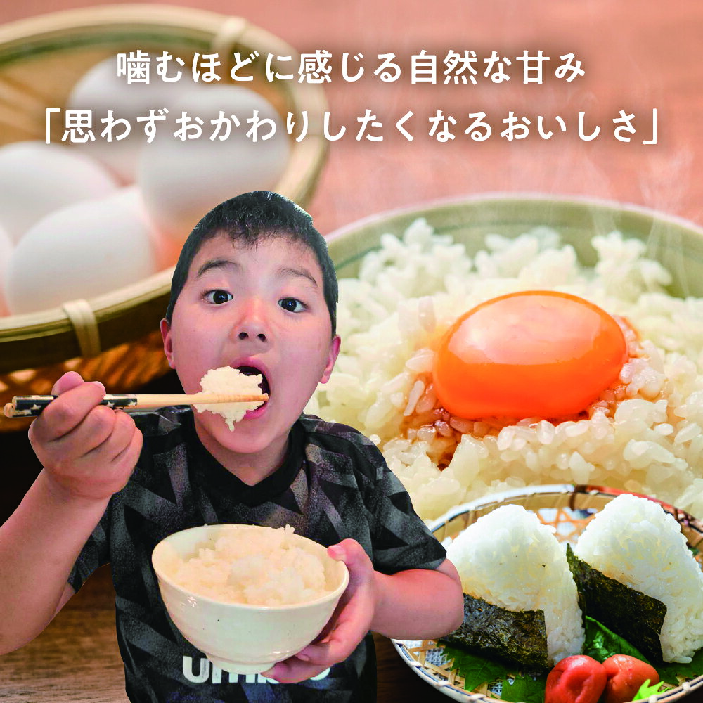 【ふるさと納税】 《先行予約》 令和8年産 選べる / 内容量 / 単品or定期便 / 玄米or精白米 / 飛騨産 特別栽培米 こしひかり 3kg 5kg 10kg コシヒカリ 新米 お米 精米 ごはん ご飯 特A 単一原料米 5キロ 10キロ 6か月 ソイル 飛騨市 20000円 40000円 f212172-hida-10003313 岐阜県飛騨市 サンプル画像3