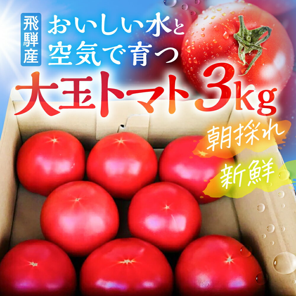 [先行予約]令和8年産 トマト 朝採り発送! 飛騨古川 池田農園 おいしい水と空気で育った大玉トマト 3kg とまと 野菜 サラダ ジュース 料理 3キロ[A0038x]12000円