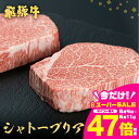 【ふるさと納税】《定期便》飛騨牛 ステーキ シャトーブリアン 5等級 150g×2枚 3回お届け (計 6 枚) 古里精肉店謹製 飛騨市推奨特産品 3ヶ月 A5...