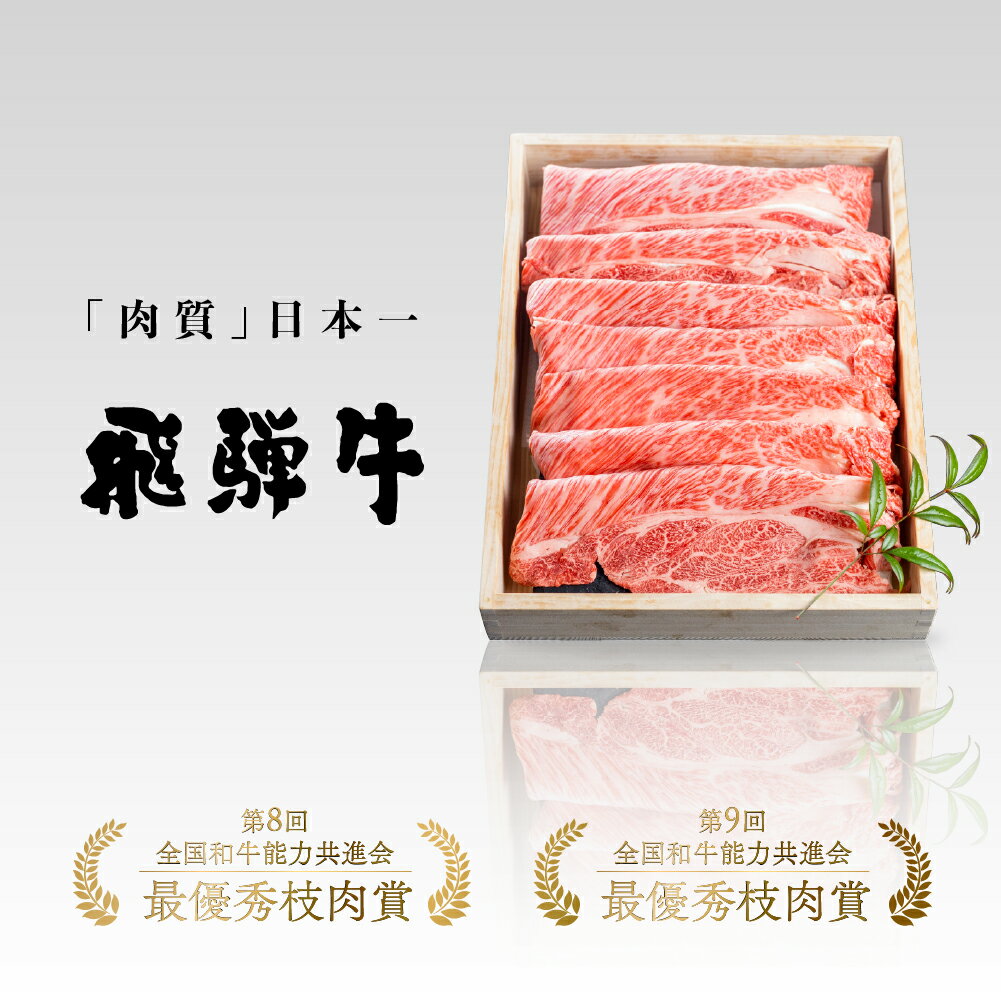 【ふるさと納税】【訳あり】飛騨牛 焼肉用切り落とし 600g 焼肉 やきにく 焼き肉 牛肉 和牛 国産 肉 熨斗掛け ギフト スライス 不揃い 切落し きりおとし わけあり ワケアリ［Q2281］30000円 3万円