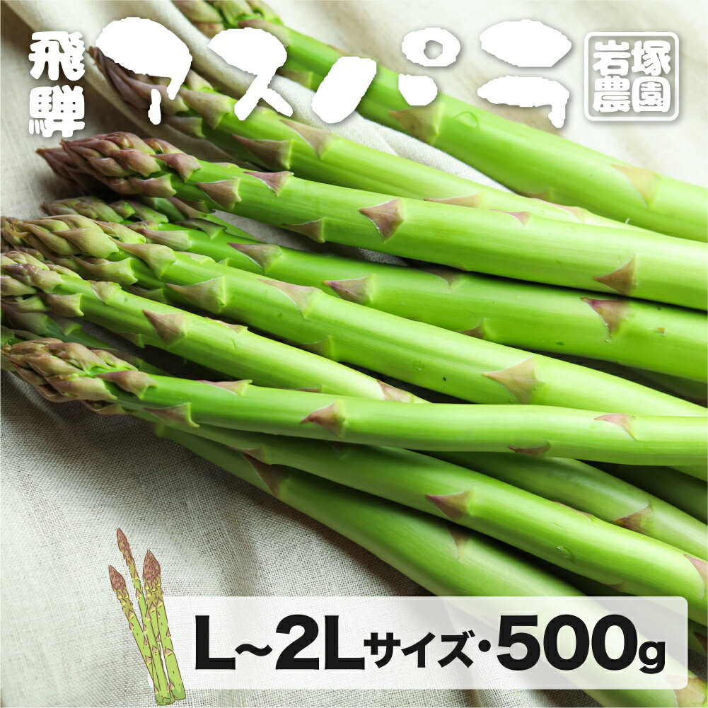 【ふるさと納税】先行予約　飛騨産アスパラガス L～2Lサイズ 500g 岩塚農園 春 夏 野菜 BBQ[Q566]5000円 5千円