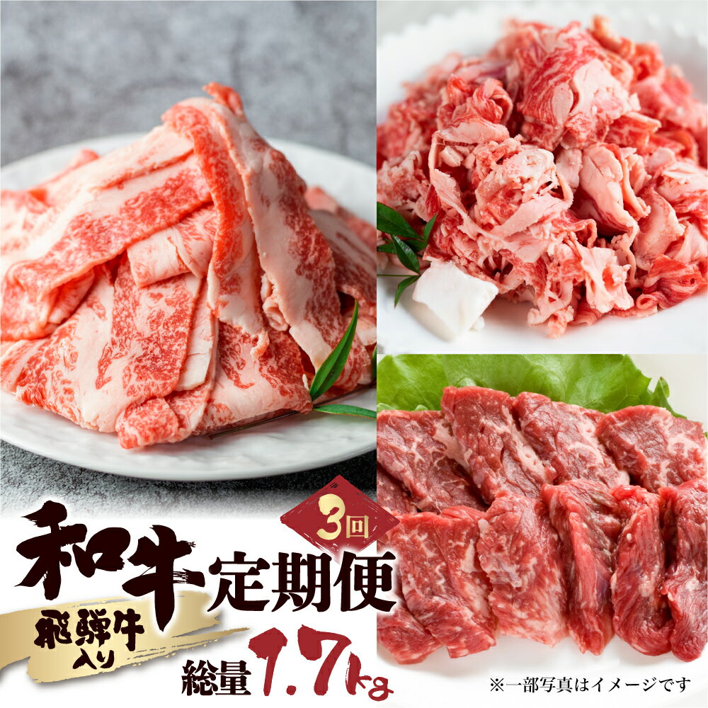 【ふるさと納税】和牛 定期便 3回 総重量 1.7kg お楽しみ スライス/焼肉セット/切り落とし 牛肉 切落し 切り落とし 不揃い ふぞろい 訳あり ワケアリ 訳アリ ホルモン もつ BBQ 焼肉 飛騨牛 個包装 国産和牛 30000円 3万円