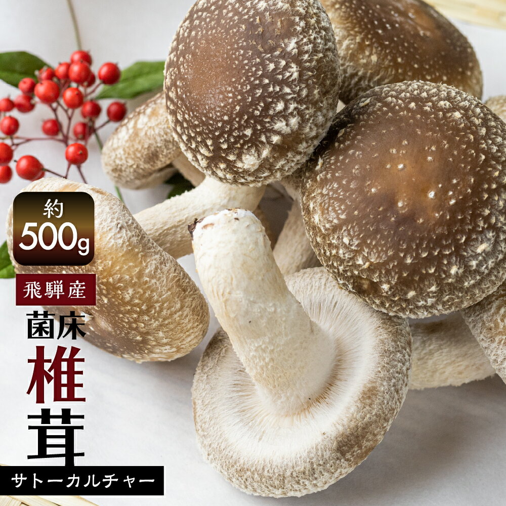 【ふるさと納税】《先行予約》菌床しいたけ 250×2パック 計約500g 国産 椎茸 シイタケ 生しいたけ きのこ キノコ 鍋に すきやきに［Q945］5千円 5000円 《hida0307》