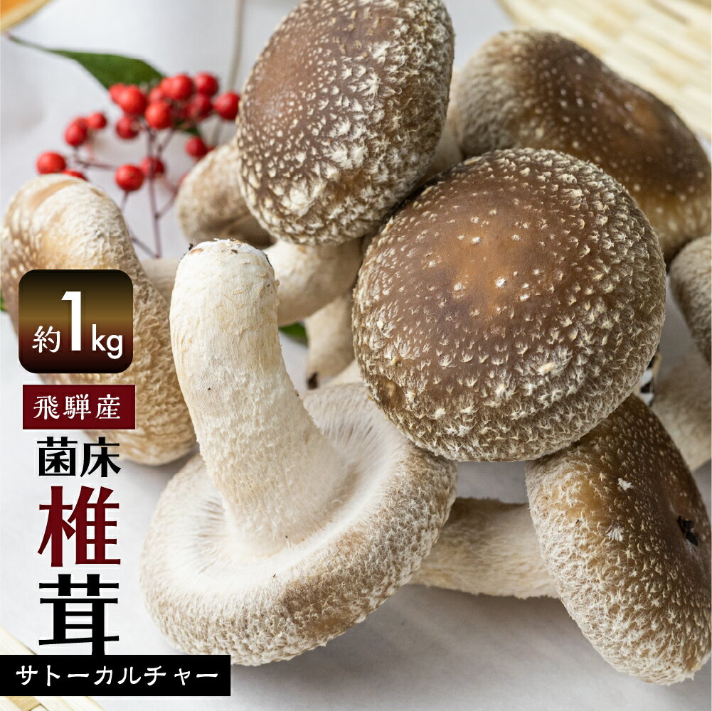 [先行予約] 菌床しいたけ 計約1kg 国産 椎茸 小分け 4パック シイタケ 生しいたけ きのこ キノコ 鍋に すきやきに[Q946] 10000円 1万