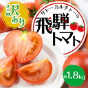 【ふるさと納税】《令和6年産 先行予約開始》【訳あり】飛騨トマト　約1.8kg 5月下旬以降順次発送 産地直送 野菜 とまと トマト 麗月 夏野菜 訳あり 不揃い 傷 キズ 玉数・大きさおまかせ およそ6〜12玉 サトーカルチャー [Q1873]3000円 3千円･･･