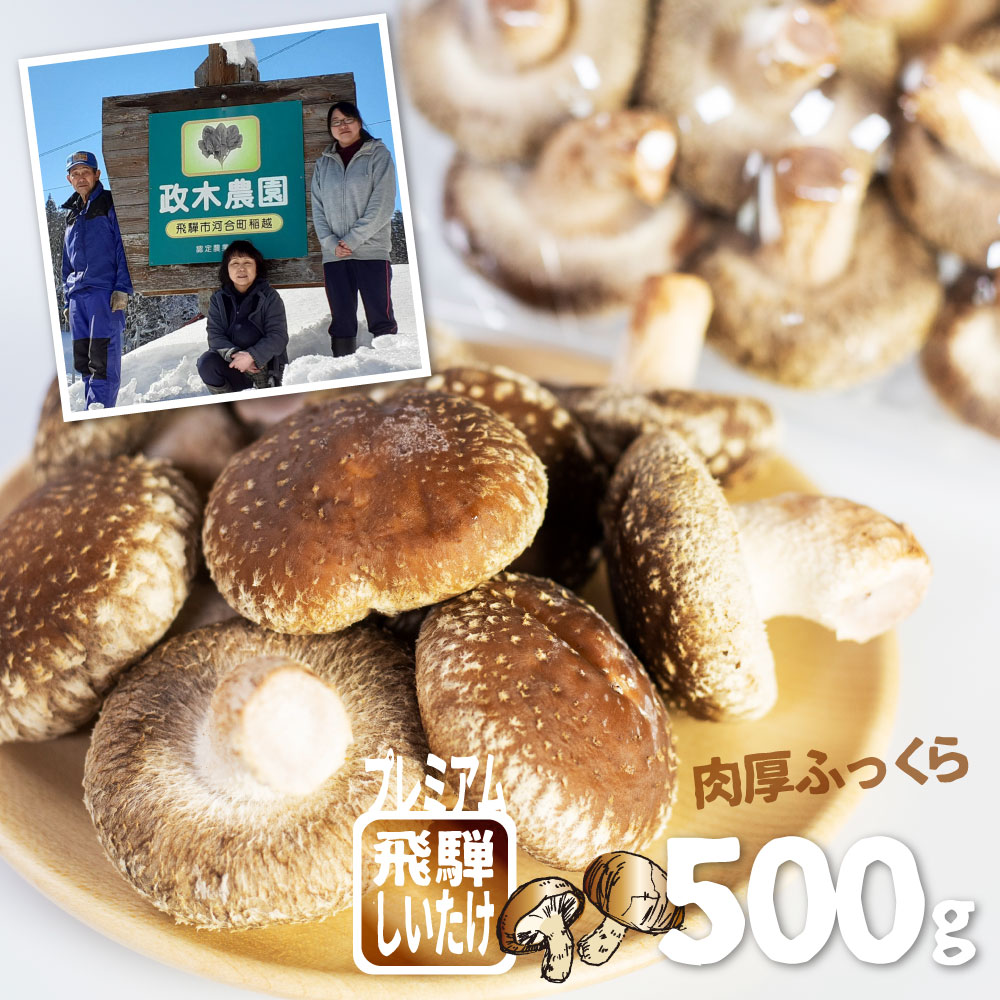 【ふるさと納税】《期間・数量限定》プレミアムしいたけ 500g　政木農園 しいたけ シイタケ 椎茸 肉厚 飛騨[Q659] 《hida0307》