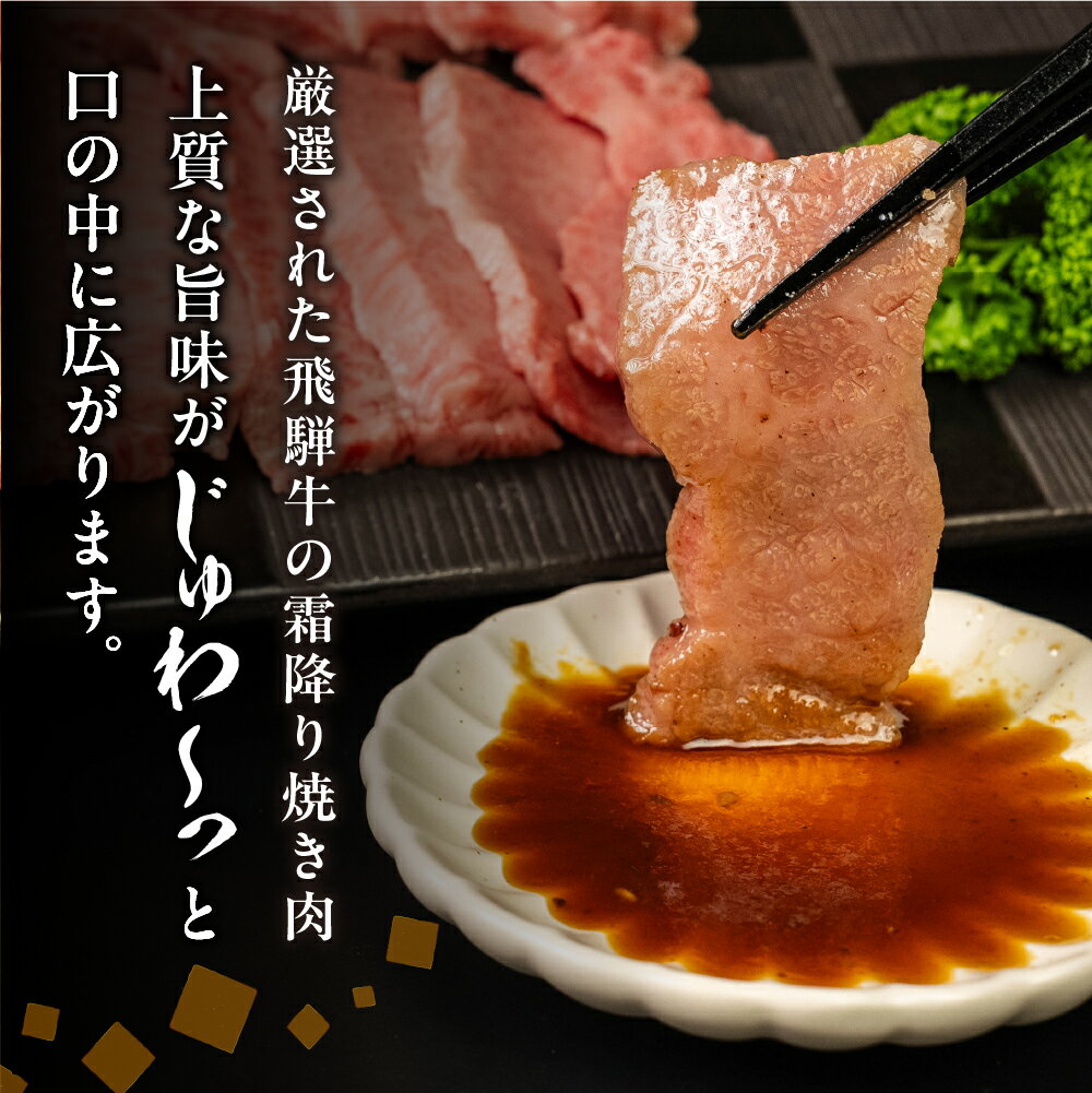 【ふるさと納税】飛騨牛 5等級 上カルビ焼肉 500g / 1kg バラ肉（ 赤身 / 霜降り ) 焼肉 牛肉 肉 焼き肉 和牛 カルビ BBQ バーベキュー 炒め物 ギフト 贈り物 飛騨岐阜人 岐阜県 飛騨市 25000円 〜