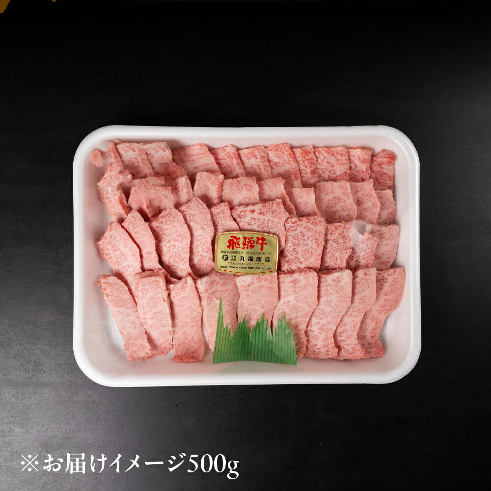 【ふるさと納税】飛騨牛 5等級 上カルビ焼肉 500g / 1kg バラ肉（ 赤身 / 霜降り ) 焼肉 牛肉 肉 焼き肉 和牛 カルビ BBQ バーベキュー 炒め物 ギフト 贈り物 飛騨岐阜人 岐阜県 飛騨市 25000円 〜