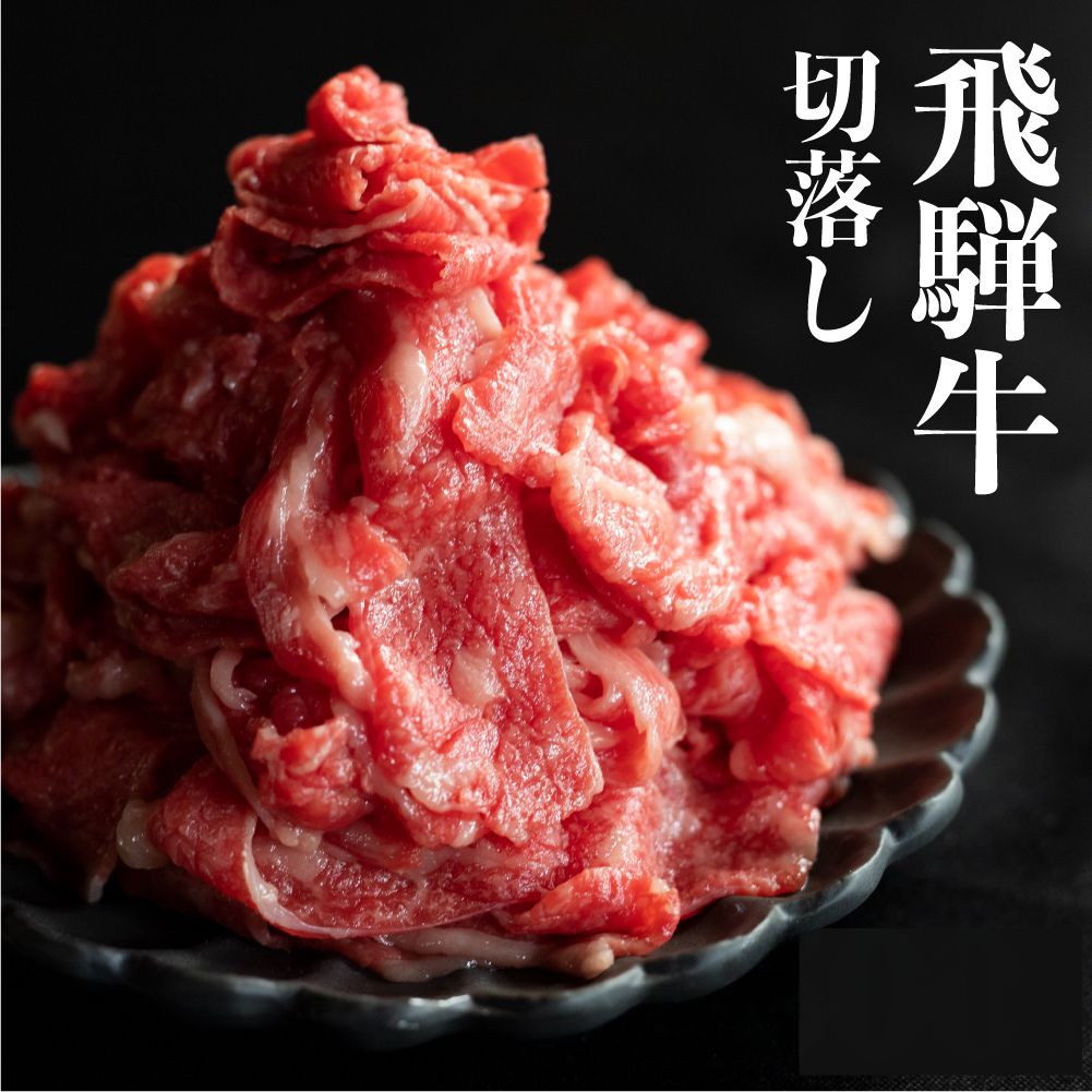飛騨牛 切り落とし 切落し 550g 焼肉 煮込み カジュアルな すき焼き しゃぶしゃぶ に！ 訳あり 訳アリ わけあり ワケアリ 不揃い 不ぞろい 甘熟メス牛 熟成 肉 牛肉 小分け 熟成肉 訳あり 岐阜県飛騨市