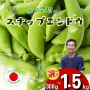 【ふるさと納税】《先行予約》\シャキシャキ プリプリ/ 採れたて スナップエンドウ 300g〜1.5kg 2025年産 飛騨産 国産 スナップえんどう 旬 旬も...