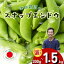 【ふるさと納税】令和8年産 先行予約\シャキシャキ プリプリ/ 採れたて スナップエンドウ 300g〜1.5k..
