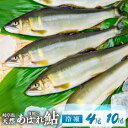 【ふるさと納税】2025年産 飛騨 天然鮎 中サイズ 4尾 10尾 天然 アユ 鮎 選べる内容量 岐阜県 室田名人 宮川下流 飛騨のあばれ鮎 高級料亭御用達 急...