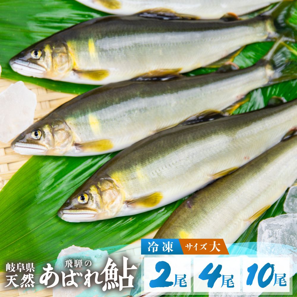 ڤդ뤵Ǽǡۡͽ2025ǯ  ŷ 祵 2 4 10 ŷ   츩 ̾ ή ͤΤ...