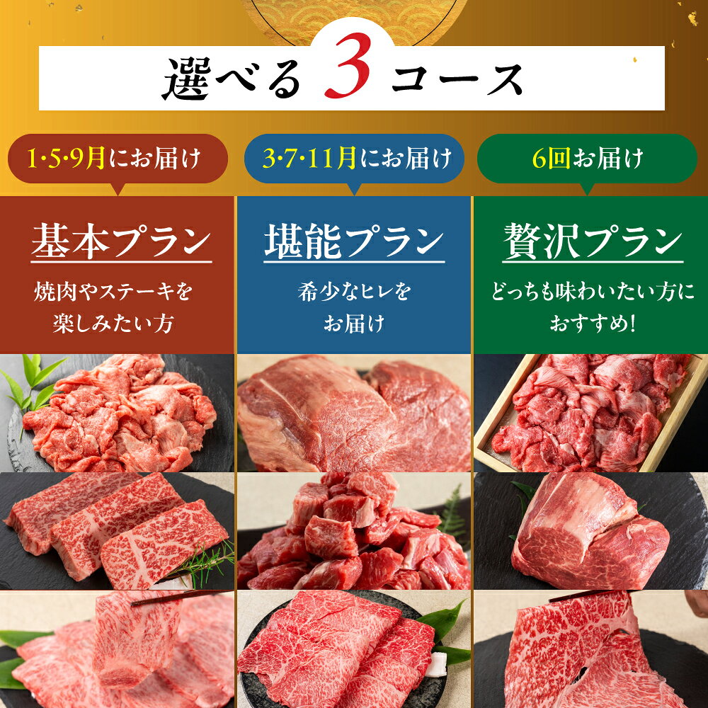 【ふるさと納税】飛騨牛お楽しみ定期便 3〜6回お届け こま切れ ヒレ ステーキ カレー肉 カルビ 焼肉 すき焼き しゃぶしゃぶ 牛肉 和牛 黒毛和牛 肉 国産 赤身肉 スキヤキ 飛騨市 冷凍発送 赤身ももスライス ヒレ肉 赤身ステーキ f212172-hida-10003916 岐阜県飛騨市 サンプル画像2