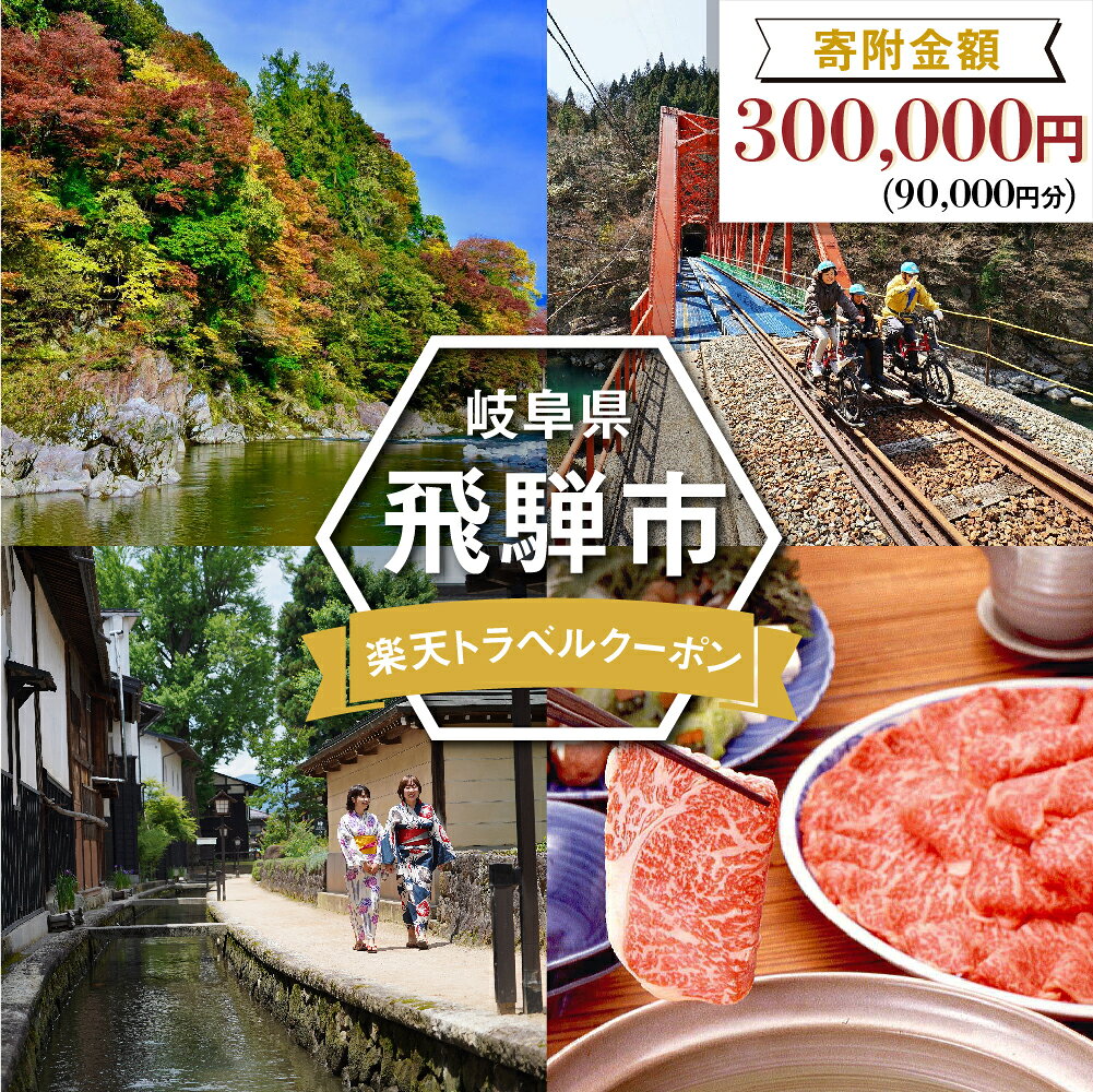 岐阜県飛騨市の対象施設で使える楽天トラベルクーポン 寄付額300,000円