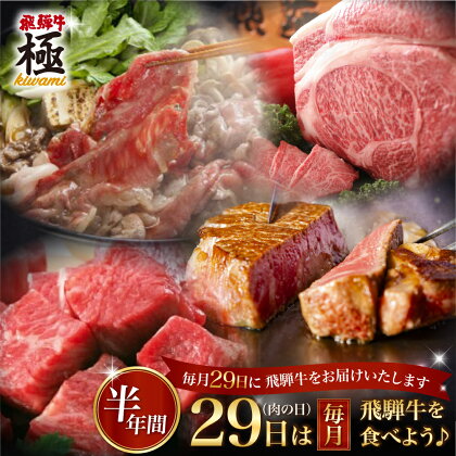 肉 定期便 6回 6ヶ月 飛騨牛“極” 毎月29日（肉の日） 飛騨牛を食べよう！お肉の定期便半年バージョン 毎月 お楽しみ [L0008] 260000円