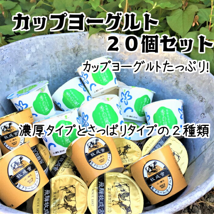 【ふるさと納税】飛騨の牛乳屋こだわり 食べるタイプのヨーグルト2種類盛沢山20個セット[A0093]