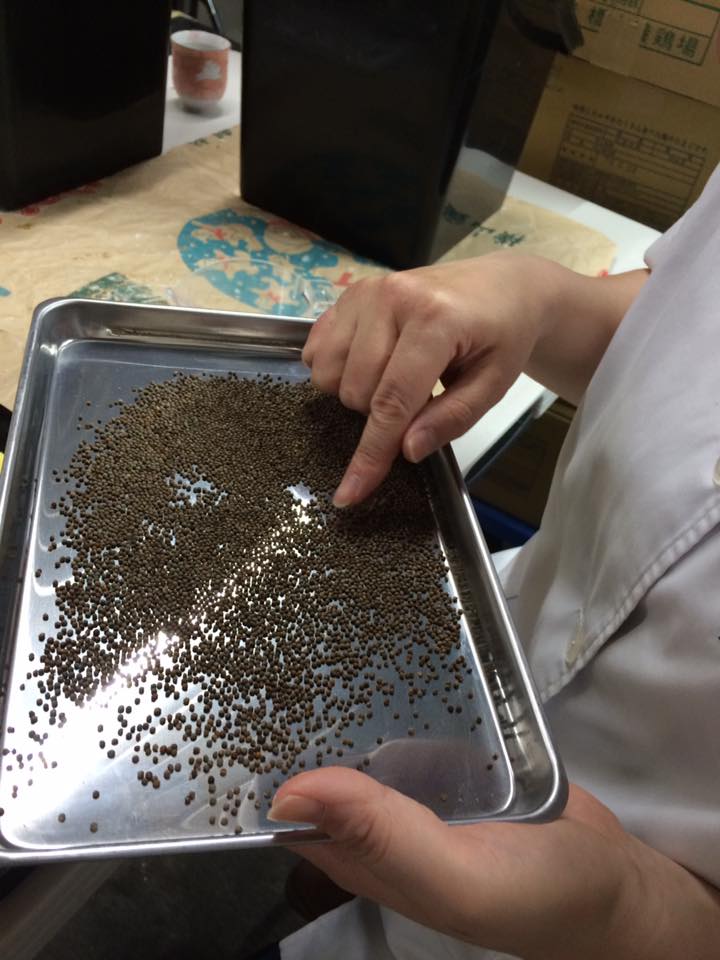 【ふるさと納税】ちょこっとえごま入り味噌煎餅　巾着2セット（2枚入×5袋　2セット）[A0067]が大人気返礼品になっている理由とは　ふるさと納税　人気　返礼品　ランキング