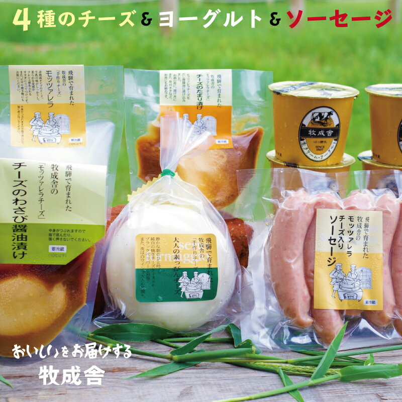 ふるさと納税】乳製品 おすすめ返礼品30選 ふるさと納税】乳製品 おすすめ返礼品30選