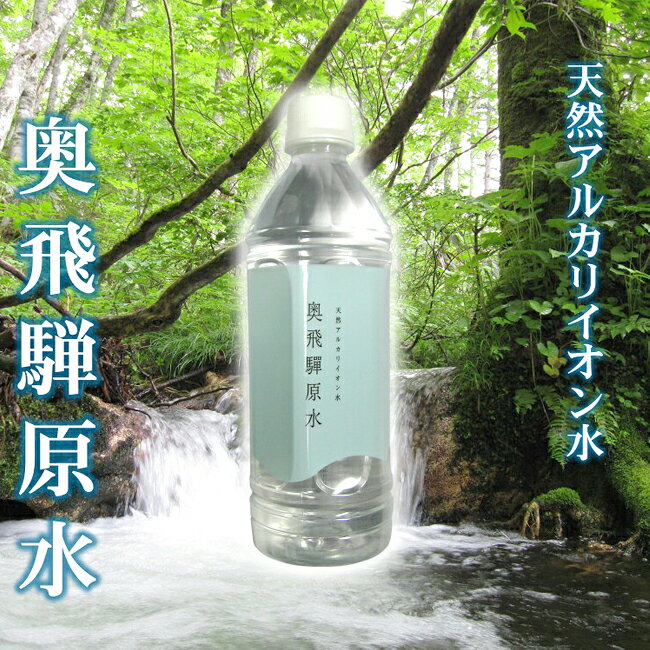 3位! 口コミ数「1件」評価「5」天然水 奥飛騨原水500ml×24本　飛騨の美味しい水　ミネラルウォーター[B0124]