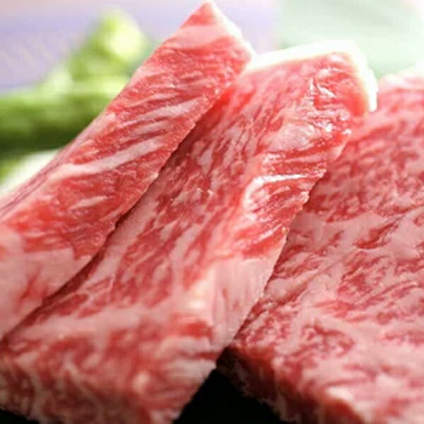 【ふるさと納税】飛騨市推奨特産品飛騨牛　ミニロインステーキ4枚 牛肉 和牛 肉 お歳暮[E0012]40000円