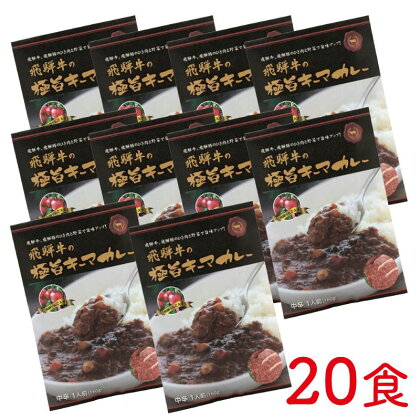 飛騨牛と飛騨豚を使った極旨キーマカレー 20食 飛騨牛カレー 肉 和牛 [E0044pi]