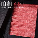 【ふるさと納税】飛騨牛 熟成肉 飛騨の牧場で育った熟成飛騨牛『山勇牛』リブロースしゃぶしゃぶ用500g/A4・A5ランク飛騨牛［G0005］