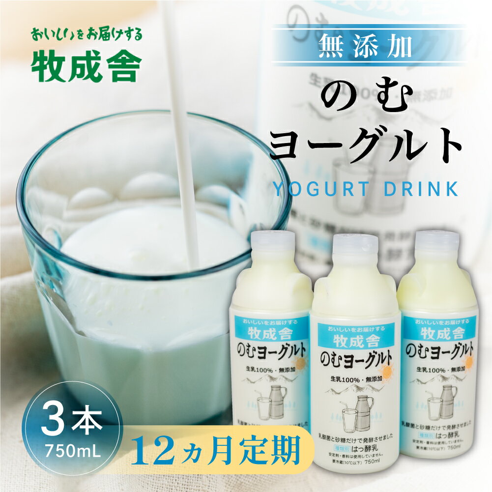 【ふるさと納税】12回定期便 牧成舎 ミルクと砂糖、乳酸菌だけの飲むヨーグルト3本 のむヨーグルト 乳製品 定期便 お楽しみ 12ヵ月