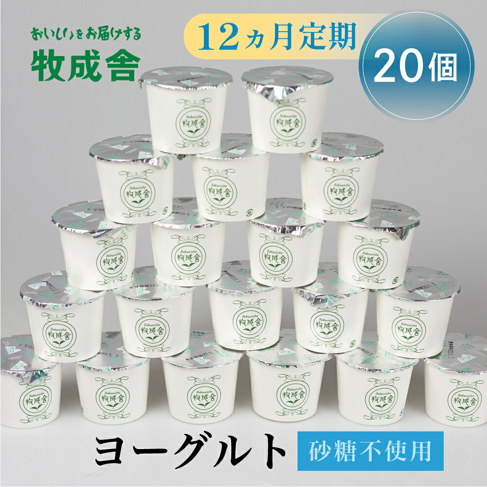 12回定期便 飛騨産ミルクと乳酸菌だけのプレーンヨーグルト20個 砂糖不使用 牧成舎 乳製品 定期便 お楽しみ 12ヵ月 無糖 《hida0307》 どやな飛騨市