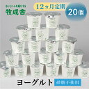 【ふるさと納税】12回定期便 飛騨産ミルクと乳酸菌だけのプレーンヨーグルト20個 砂糖不使用 牧成舎 乳製品 定期便 お楽しみ 12ヵ月 無糖