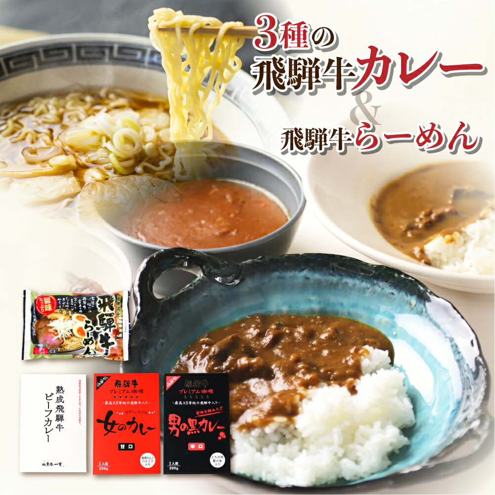 飛騨牛カレー3種と飛騨牛らーめん 特産品セット レトルトカレー 詰め合せ ラーメン 常温保存可 詰合わせ セット 辛口 甘口 高級 人気 [Q1795] 11000円 [hida0307]