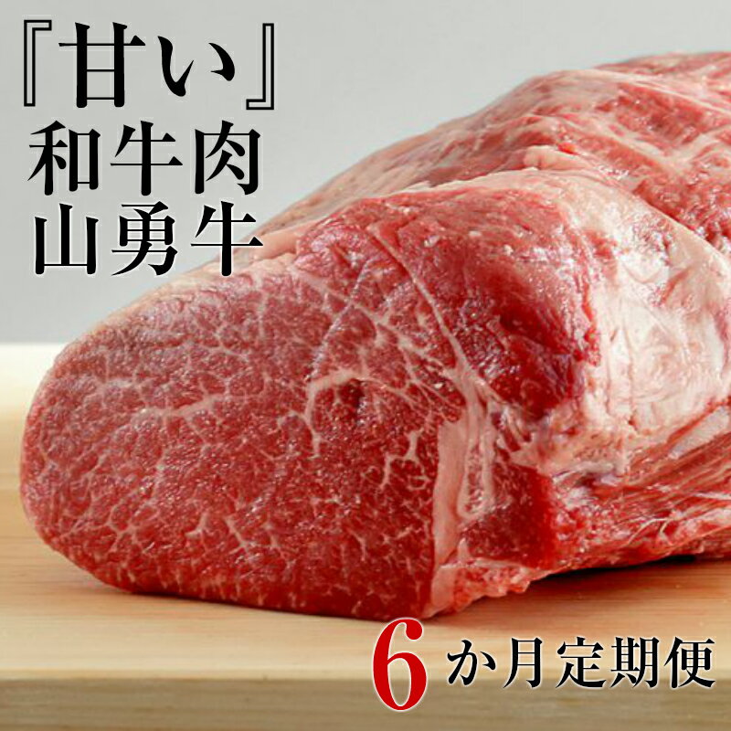 [数量限定]熟成肉 定期便 お楽しみ 飛騨牛 山勇牛 6カ月 『甘い』和牛肉 お肉の定期便 熟成肉 しゃぶしゃぶ すき焼き ブロック肉 焼肉 ステーキ サーロイン ロース 肩ロース リブロース ランプ イチボ ミスジ ザブトン お楽しみ [N0003]400000円