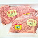 【ふるさと納税】飛騨市推奨特産品　サーロインステーキ　200g 2枚 計400g 肉 飛騨牛 ステーキ 霜降り 熨斗掛け[D0057]33000円 2