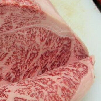 飛騨市推奨特産品 飛騨牛4等級サーロインステーキ用 ブロック肉 500g 肉 熨斗掛け 熨斗掛け[D0053]