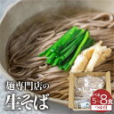 【ふるさと納税】《年越しそば予約受付中》生そば 5食 8食 つゆ付 訳あり 3回定期便(1回あたり10食) 定期便 蕎麦 そば 年越そば 年越蕎麦 生麺 合成保...