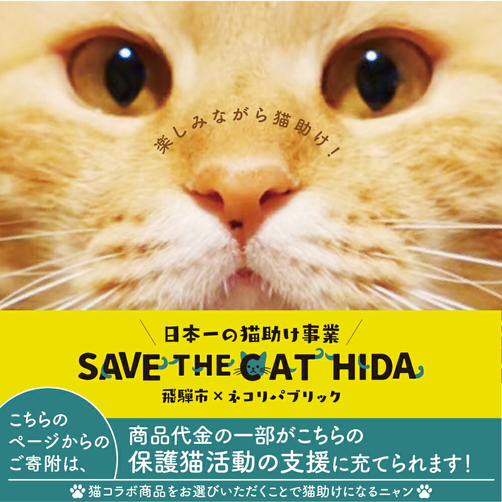 【ふるさと納税】SAVE THE CAT HIDA PROJECT ネコリパブリックの保護猫シェルター＆ホスピスに名前を刻める権利[neko02] クラウドファンディング対象 30000円 3万円 ネコリパブリック