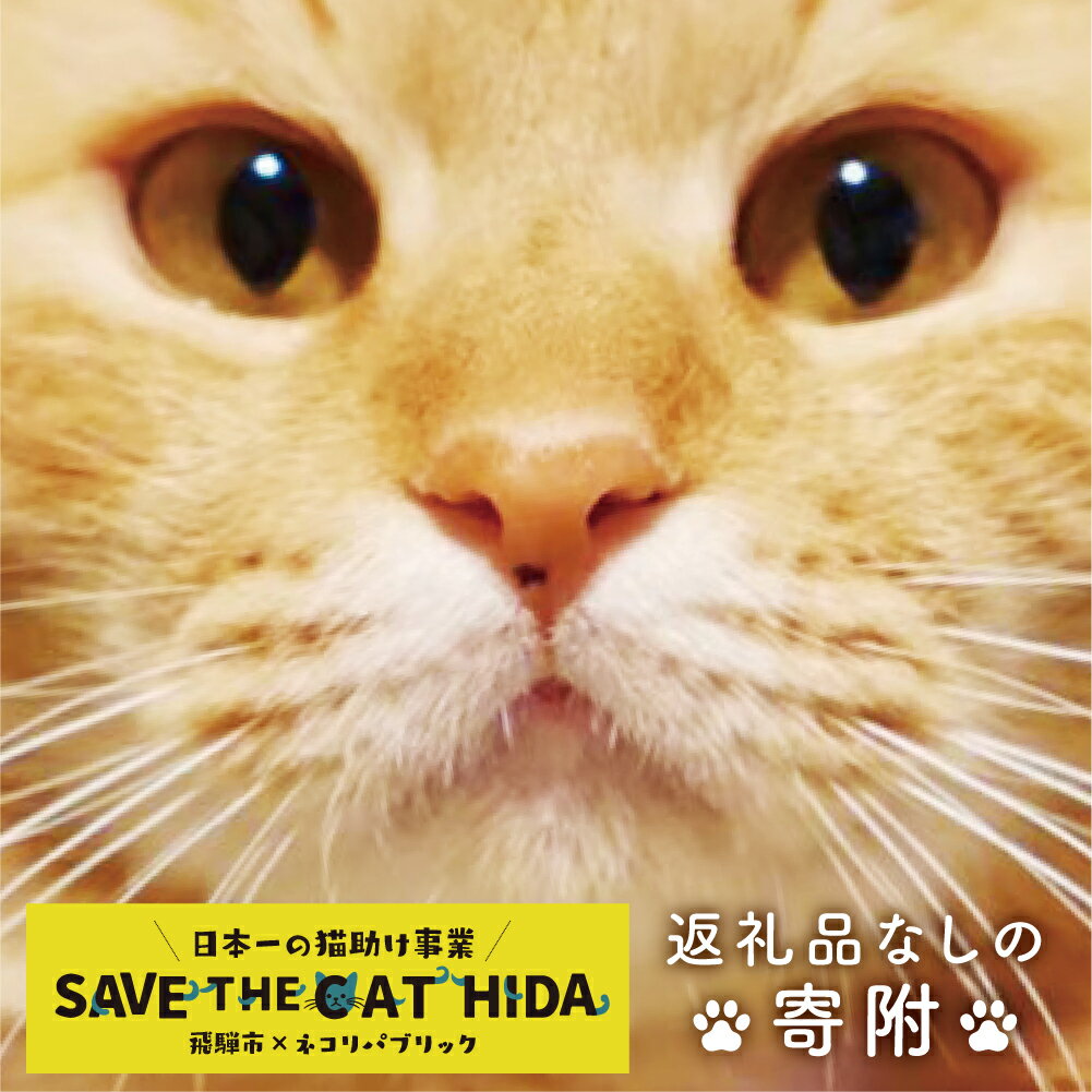 【ふるさと納税】SAVE THE CAT HIDA PROJECTへの返礼品なしの寄附[neko05]10000円 1万円 一万円 ネコリパブリック