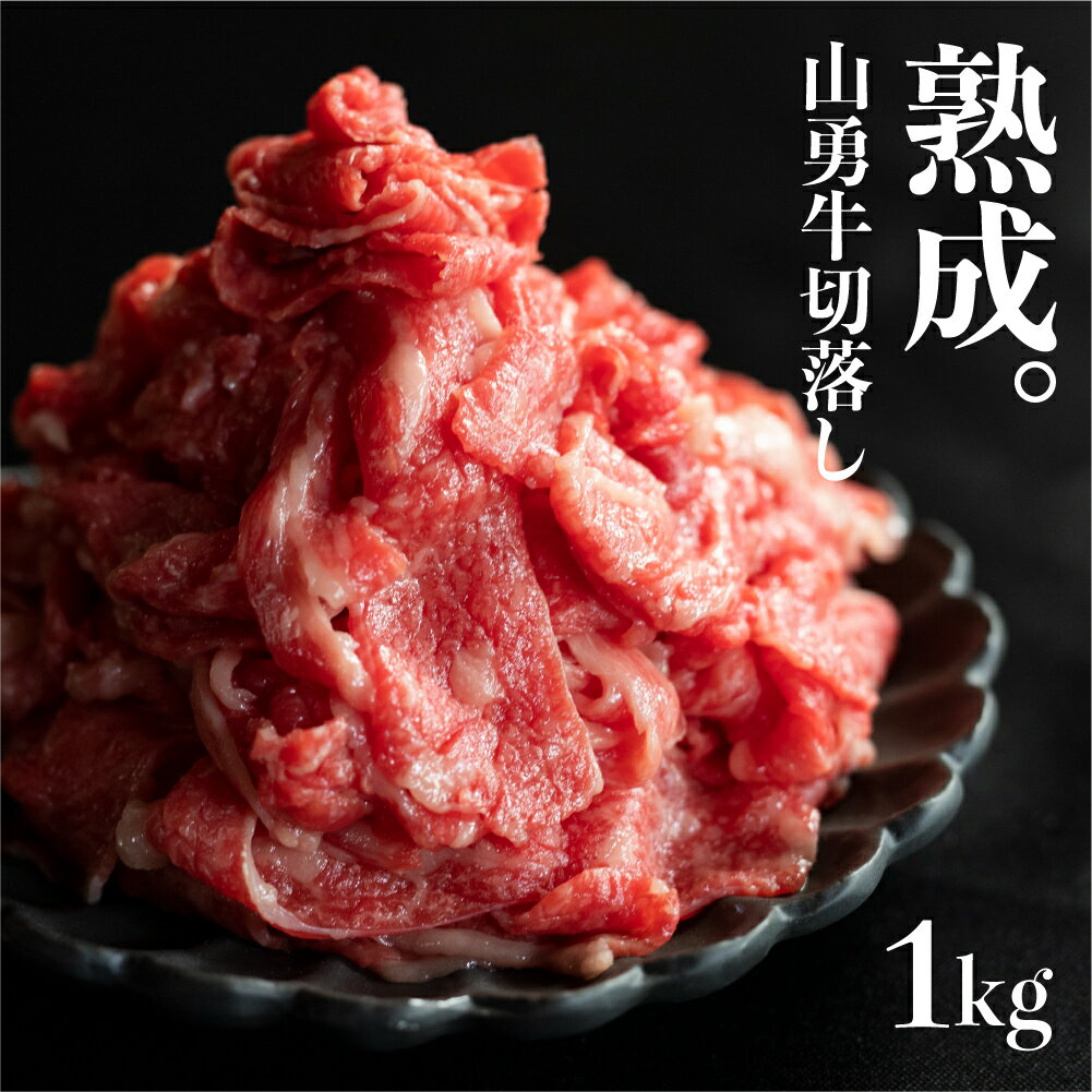 【ふるさと納税】飛騨牛 切り落とし 切落し 500g × 2 計1kg 焼肉 煮込み カジュアルな すき焼き しゃ...