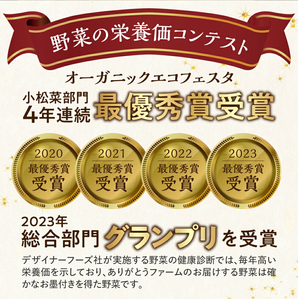 【ふるさと納税】《先行予約》野菜の栄養価コンテストグランプリ農家が贈る 無農薬栽培 旬の野菜セット 6品 お野菜のレシピ付き 選べるお届け時期 2024 飛騨ありがとうファーム [Q234re] 10000円 《hida0307》