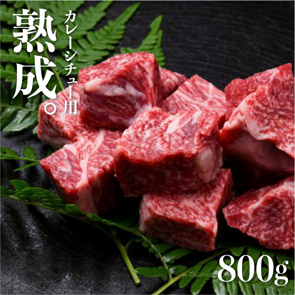 【ふるさと納税】飛騨牛 カレーシチュー用 800g スネ肉等 牛肉 和牛 肉 国産 カレー 煮込み ビーフシチュー 山勇牛一貫［B0060］10000円 1万円