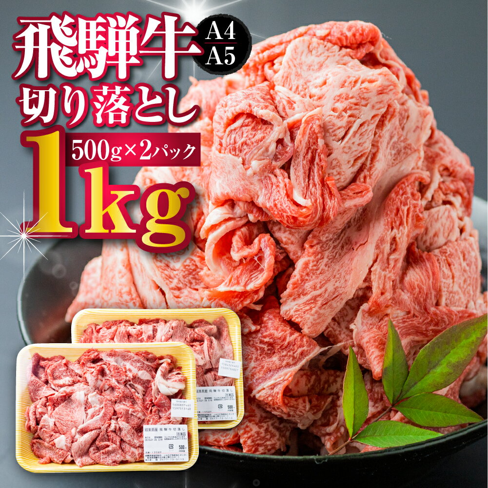 【ふるさと納税】【訳あり】飛騨牛 切り落とし 500g×2 計1kg A4 A5 部位おまかせ a4 a5 牛肉 肉 黒毛和牛 国産 小分け 熨斗 訳アリ わけあり ワケアリ 不揃い 薄切り すき焼き 牛丼 カレー 肉じゃが 焼肉 飛騨市産 冷凍[d0078]