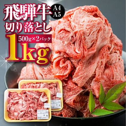 【訳あり】飛騨牛 切り落とし 500g×2 計1kg A4 A5 部位おまかせ a4 a5 牛肉 肉 黒毛和牛 国産 小分け 熨斗 訳アリ わけあり ワケアリ 不揃い 薄切り すき焼き 牛丼 カレー 肉じゃが 焼肉 飛騨市産 冷凍[d0078]