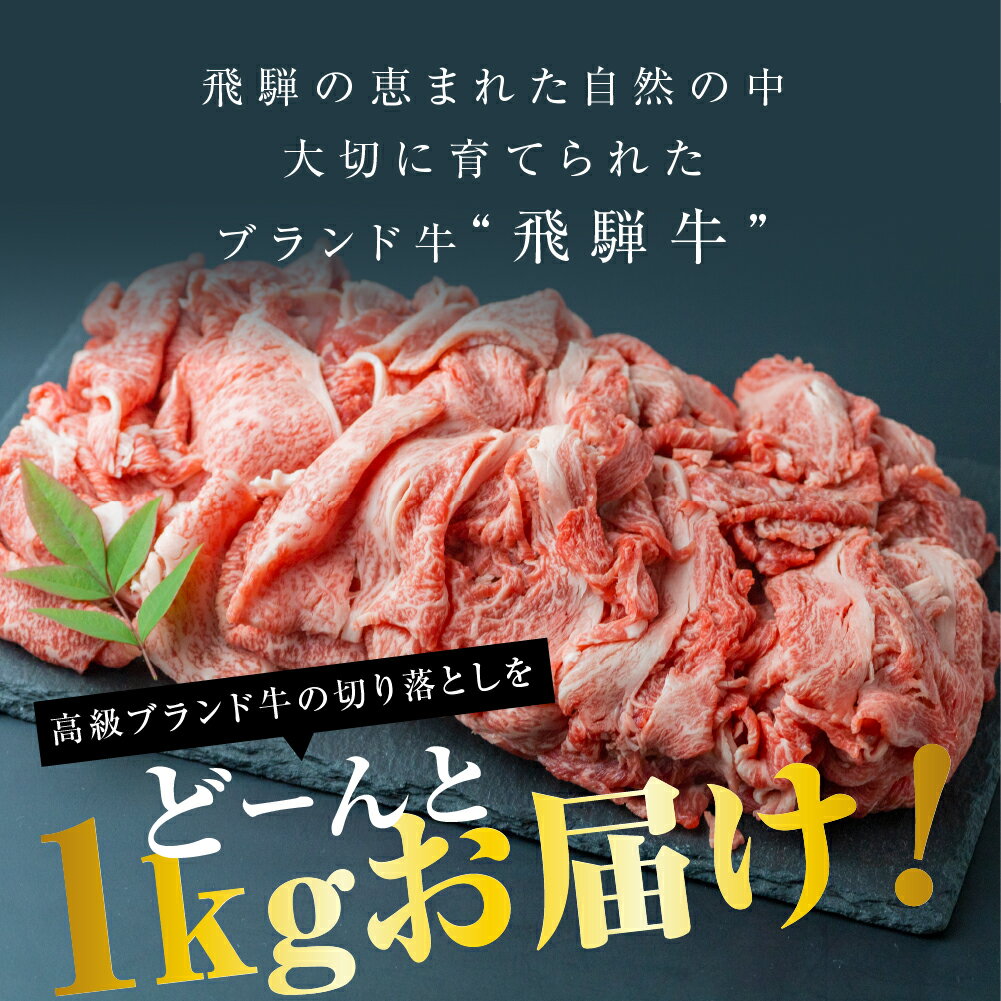 【ふるさと納税】【訳あり】飛騨牛 切り落とし 500g×2 計1kg A4 A5 部位おまかせ a4 a5 牛肉 肉 黒毛和牛 国産 小分け 熨斗 訳アリ わけあり ワケアリ 不揃い 薄切り すき焼き 牛丼 カレー 肉じゃが 焼肉 飛騨市産 冷凍[d0078]